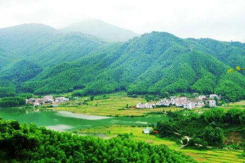 厚田乡头条,聚焦乡村发展新动态，共绘美好乡村画卷